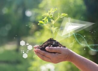 4nd AgroTechnology VET Centresto Network and Train Future Farmers in Jordan and Palestine / AgroTec